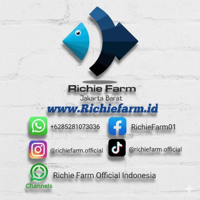 Testimoni Mitra Live Shopping